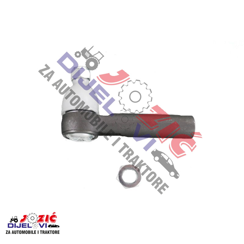 Daisy on the Ohoopee